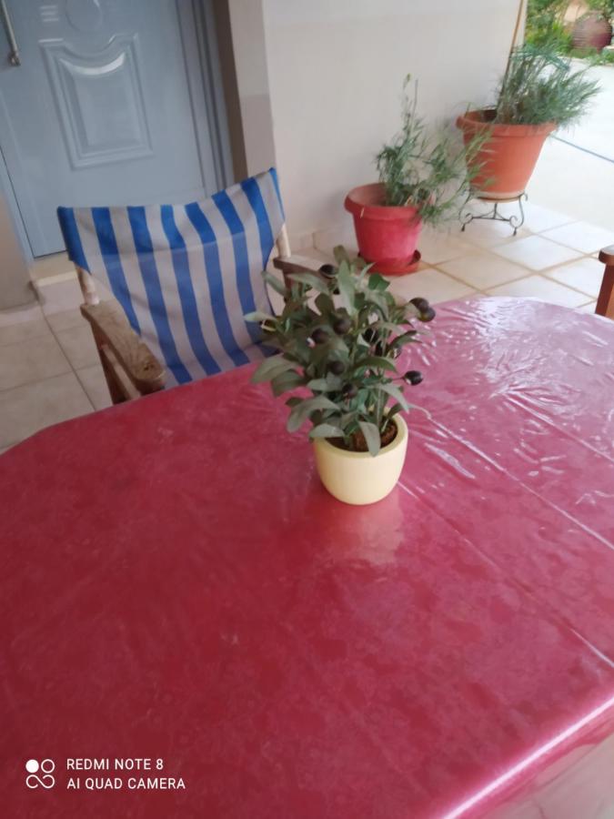 Ozena Countryside Apartment Vromonérion エクステリア 写真
