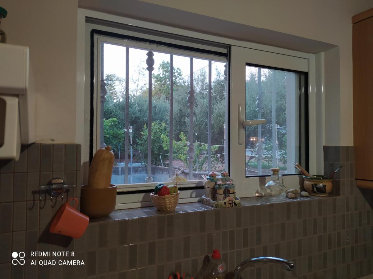 Ozena Countryside Apartment Vromonérion エクステリア 写真